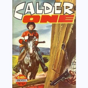 Calder One : n° 17, Recette indienne