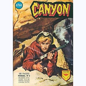 Canyon : n° 3, Huit ans après