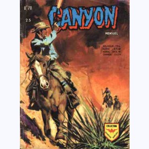 Canyon : n° 25, Le faux coupable