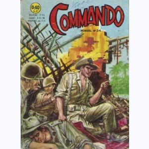 Commando : n° 34, Le tank et la tortue