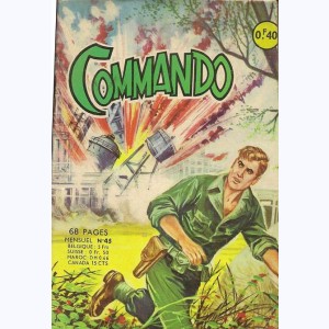 Commando : n° 45, Le fantôme du tank hanté