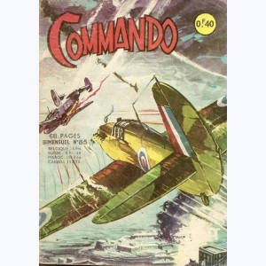 Commando : n° 85, Le naufragé 1