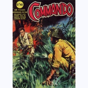 Commando : n° 118, Une île abandonnée