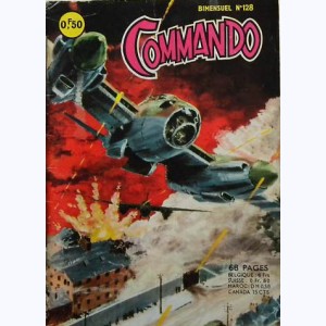 Commando : n° 128, Le château d'Alpenstadt