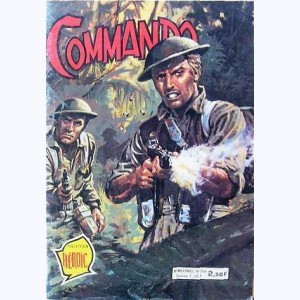 Commando : n° 264, Courage aveugle