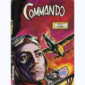 Commando : n° 289, Le destin d'un héros