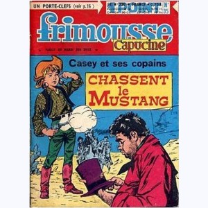 Frimousse : n° 220, Casey chasse le mustang II
