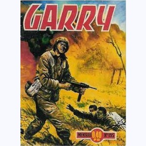 Garry : n° 195, Armada secrète