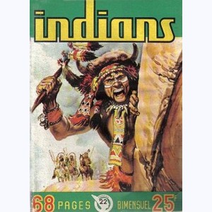 Indians : n° 22, Long Arc : Le voleur