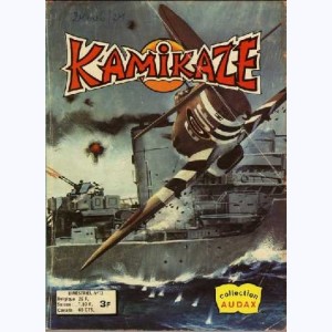 Kamikaze : n° 12, Pilote de convoi : Avion ambulance
