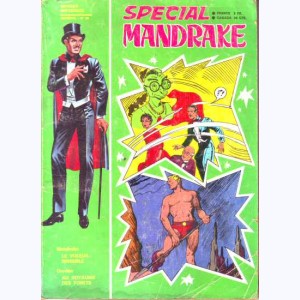 Mandrake Spécial : n° 82, Le voleur invisible