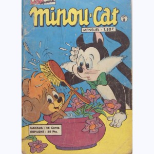 Minou-Cat : n° 8, Un anniversaire mouvementé