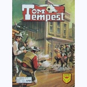 Tom Tempest : n° 19, Bien mal acquis