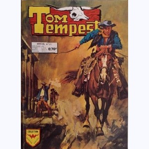 Tom Tempest : n° 20, Sa dernière corrida
