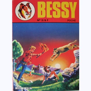 Bessy Poche : n° 3, Le trésor du lynx, Justice sera faite