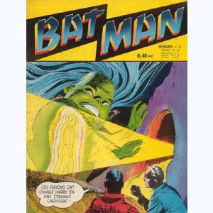 Bat Man : n° 2, Le Secret de la lumière de la caverne
