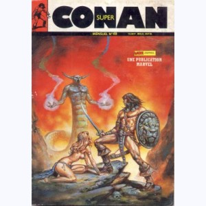 Super Conan : n° 49, L'informateur