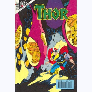 Thor (3ème Série) : n° 17, Ce sont les dieux d'Asgard qu'on assassine