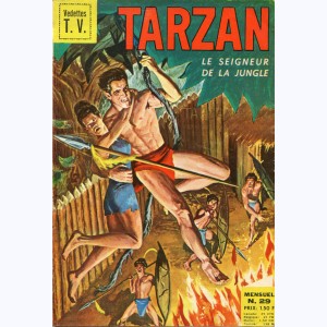 Tarzan : n° 29, La longue quête de Tarzan 1