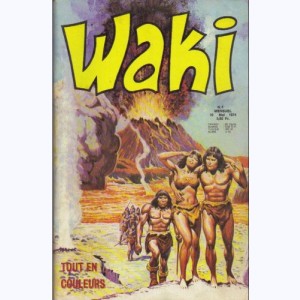 Waki : n° 4, Le dieu de cendres