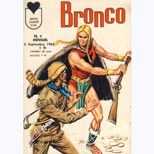 Bronco : n° 4, Viking - Le trésor des Vikings