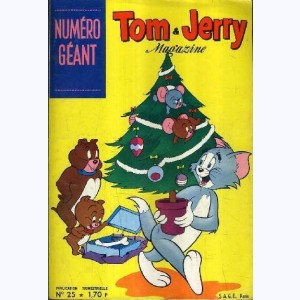 Tom et Jerry Magazine : n° 25, Un drôle de conte de fée !