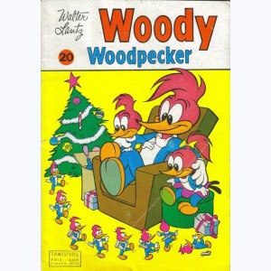 Woody Woodpecker : n° 20, Le grand chef indien