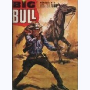 Série : Big Bull