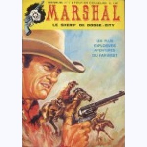 Série : Marshal le Shérif de Dodge City
