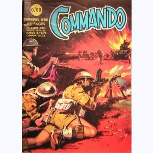 Commando : n° 161, Cessez-le-feu !