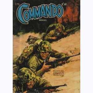 Commando : n° 175, Pilote solitaire