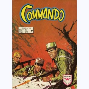 Commando : n° 208, Pour l'honneur