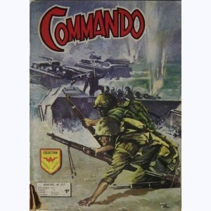 Commando : n° 217, Le contre-torpilleur Whippet