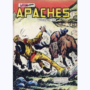 Apaches : n° 79, Canada JEAN - L'expédition disparue