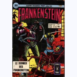 Frankenstein : n° 3, Le dernier des Frankenstein