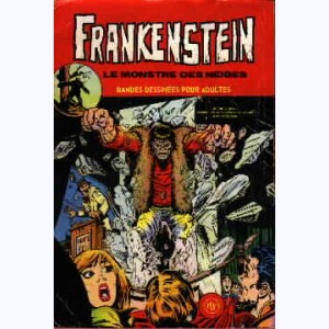 Frankenstein : n° 6, Le monstre des neiges