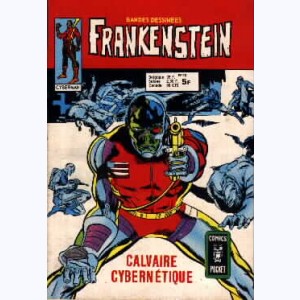 Frankenstein : n° 10, Cyberman : Calvaire cybernétique