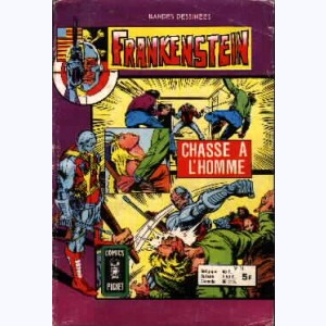Frankenstein : n° 11, Cyberman : Chasse à l'homme