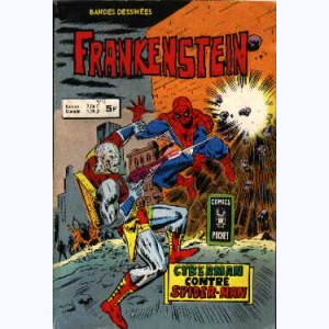 Frankenstein : n° 14, Cyberman contre Spider-Man
