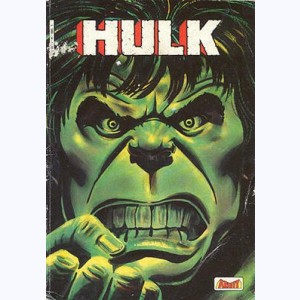 Hulk (4ème Série) : n° 14, OVNI ou ennemi ?