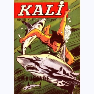 Kali : n° 8, L'embuscade