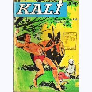 Kali : n° 45, L'enlèvement de Kali