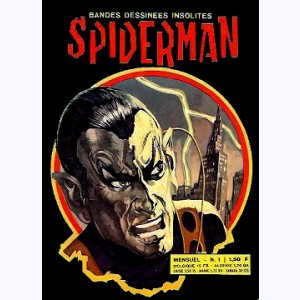 Spiderman : n° 1, L'homme qui vola Manhattan