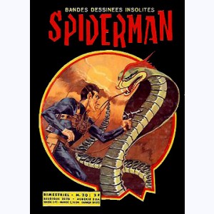 Spiderman : n° 20, L'homme esprit