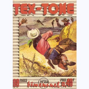 Tex Tone : n° 204, Le détective