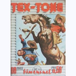 Tex Tone : n° 252, La montagne d'argent