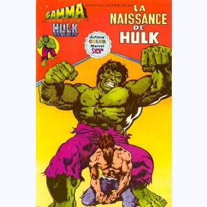 Gamma : n° 1, La naissance de Hulk