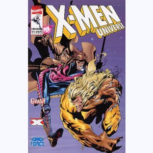 X-Men Universe : n° 11, Désordres magnétiques