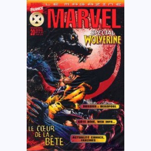 Marvel Magazine : n° 20