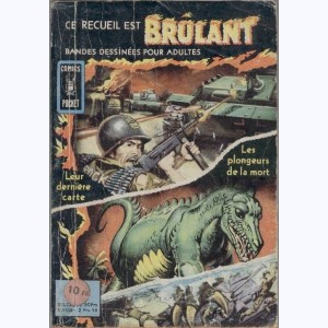 Brûlant (Album) : n° 3013, Recueil 3013 (01, 02)